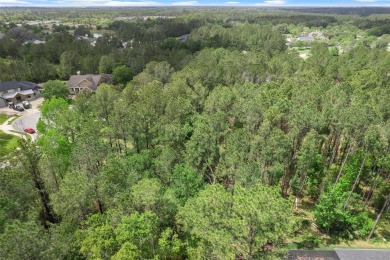 Discover the world of luxury living with this exquisite piece of on Southern Hills Plantation Club in Florida - for sale on GolfHomes.com, golf home, golf lot