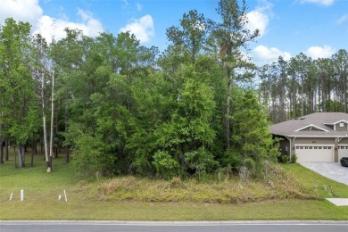 Discover the world of luxury living with this exquisite piece of on Southern Hills Plantation Club in Florida - for sale on GolfHomes.com, golf home, golf lot