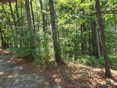 A Gorgeous Lot with an Absolutely Stunning View! Recently on Woodlake Country Club in North Carolina - for sale on GolfHomes.com, golf home, golf lot