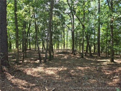A Gorgeous Lot with an Absolutely Stunning View! Recently on Woodlake Country Club in North Carolina - for sale on GolfHomes.com, golf home, golf lot