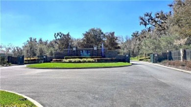 Enjoy the HERITAGE a beautiful adult community (55+) of upscale on Skyview At Terra Vista Golf and Country Club in Florida - for sale on GolfHomes.com, golf home, golf lot