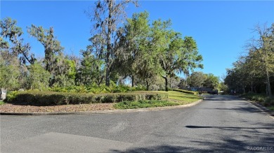 Enjoy the HERITAGE a beautiful adult community (55+) of upscale on Skyview At Terra Vista Golf and Country Club in Florida - for sale on GolfHomes.com, golf home, golf lot