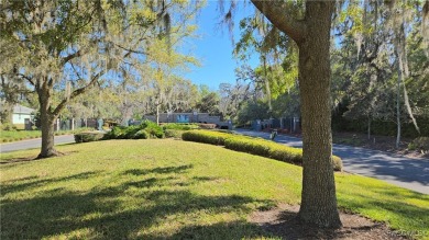 Enjoy the HERITAGE a beautiful adult community (55+) of upscale on Skyview At Terra Vista Golf and Country Club in Florida - for sale on GolfHomes.com, golf home, golf lot