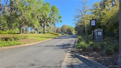 Enjoy the HERITAGE a beautiful adult community (55+) of upscale on Skyview At Terra Vista Golf and Country Club in Florida - for sale on GolfHomes.com, golf home, golf lot