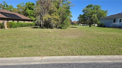 Enjoy the HERITAGE a beautiful adult community (55+) of upscale on Skyview At Terra Vista Golf and Country Club in Florida - for sale on GolfHomes.com, golf home, golf lot