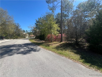 Discover this stunning estate-sized lot (0.27 acres) in the on Sugarmill Woods Golf and Country Club in Florida - for sale on GolfHomes.com, golf home, golf lot
