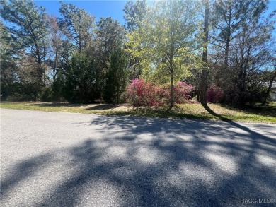Discover this stunning estate-sized lot (0.27 acres) in the on Sugarmill Woods Golf and Country Club in Florida - for sale on GolfHomes.com, golf home, golf lot