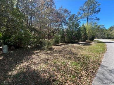 Discover this stunning estate-sized lot (0.27 acres) in the on Sugarmill Woods Golf and Country Club in Florida - for sale on GolfHomes.com, golf home, golf lot