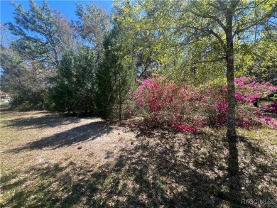 Discover this stunning estate-sized lot (0.27 acres) in the on Sugarmill Woods Golf and Country Club in Florida - for sale on GolfHomes.com, golf home, golf lot