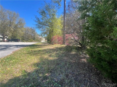 Discover this stunning estate-sized lot (0.27 acres) in the on Sugarmill Woods Golf and Country Club in Florida - for sale on GolfHomes.com, golf home, golf lot