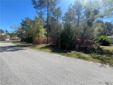 Discover this stunning estate-sized lot (0.27 acres) in the on Sugarmill Woods Golf and Country Club in Florida - for sale on GolfHomes.com, golf home, golf lot