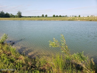 This half-acre low maintenance pond homesite is the lowest on Scotch Hall Preserve in North Carolina - for sale on GolfHomes.com, golf home, golf lot