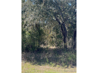 Prime buildable lot in the sought-after Cypress Village at on Sugarmill Woods Golf and Country Club in Florida - for sale on GolfHomes.com, golf home, golf lot