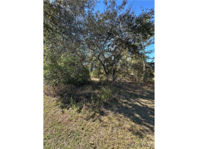 Prime buildable lot in the sought-after Cypress Village at on Sugarmill Woods Golf and Country Club in Florida - for sale on GolfHomes.com, golf home, golf lot