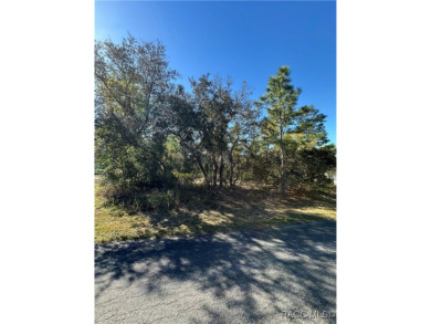 Prime buildable lot in the sought-after Cypress Village at on Sugarmill Woods Golf and Country Club in Florida - for sale on GolfHomes.com, golf home, golf lot