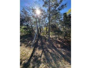 Prime buildable lot in the sought-after Cypress Village at on Sugarmill Woods Golf and Country Club in Florida - for sale on GolfHomes.com, golf home, golf lot