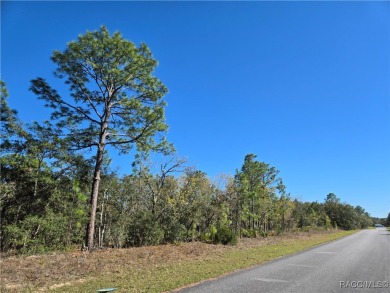 Enjoy the Florida Lifestyle with this nice lot ready to build on Citrus Springs Country Club in Florida - for sale on GolfHomes.com, golf home, golf lot