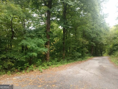 Amazing view from this wooded mountain land located at one of on Sky Valley Resort and Country Club in Georgia - for sale on GolfHomes.com, golf home, golf lot