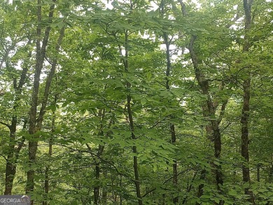 Amazing view from this wooded mountain land located at one of on Sky Valley Resort and Country Club in Georgia - for sale on GolfHomes.com, golf home, golf lot
