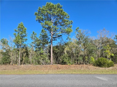 Enjoy the Florida Lifestyle with this nice lot ready to build on Citrus Springs Country Club in Florida - for sale on GolfHomes.com, golf home, golf lot