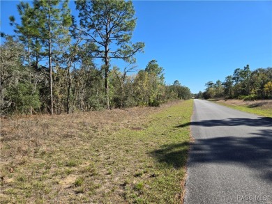 Enjoy the Florida Lifestyle with this nice lot ready to build on Citrus Springs Country Club in Florida - for sale on GolfHomes.com, golf home, golf lot