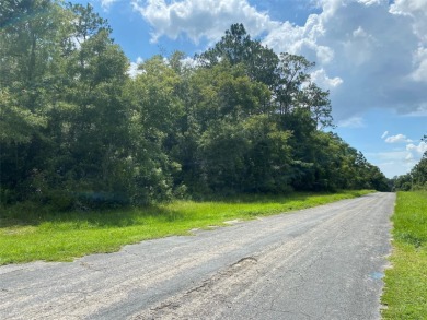 CORNER LOT - .3072 acres on paved road in the Citrus Springs on Citrus Springs Country Club in Florida - for sale on GolfHomes.com, golf home, golf lot