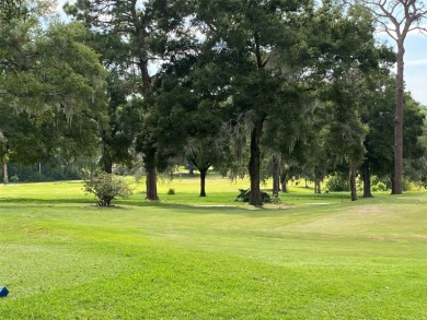 CORNER LOT - .3072 acres on paved road in the Citrus Springs on Citrus Springs Country Club in Florida - for sale on GolfHomes.com, golf home, golf lot