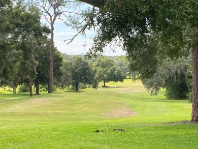 CORNER LOT - .3072 acres on paved road in the Citrus Springs on Citrus Springs Country Club in Florida - for sale on GolfHomes.com, golf home, golf lot