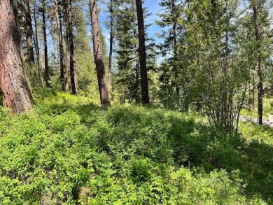 Gently sloping east facing lot with peeks of mountain and valley on Meadowcreek Golf Resort in Idaho - for sale on GolfHomes.com, golf home, golf lot