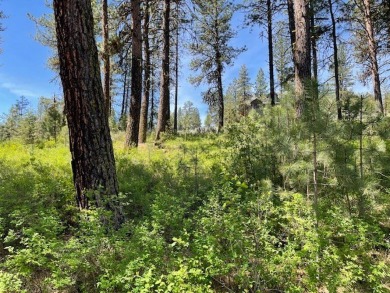 Gently sloping east facing lot with peeks of mountain and valley on Meadowcreek Golf Resort in Idaho - for sale on GolfHomes.com, golf home, golf lot