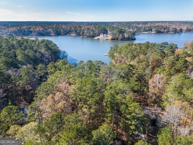 Gorgeous year-round water view lot located in Turtle Cove. Enjoy on Turtle Cove Golf Course in Georgia - for sale on GolfHomes.com, golf home, golf lot