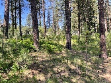 Gently sloping east facing lot with peeks of mountain and valley on Meadowcreek Golf Resort in Idaho - for sale on GolfHomes.com, golf home, golf lot