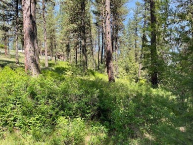 Gently sloping east facing lot with peeks of mountain and valley on Meadowcreek Golf Resort in Idaho - for sale on GolfHomes.com, golf home, golf lot