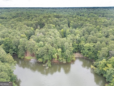 Gorgeous year-round water view lot located in Turtle Cove. Enjoy on Turtle Cove Golf Course in Georgia - for sale on GolfHomes.com, golf home, golf lot