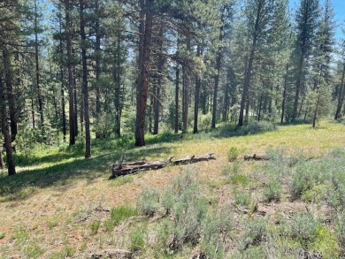 Gently sloping east facing lot with peeks of mountain and valley on Meadowcreek Golf Resort in Idaho - for sale on GolfHomes.com, golf home, golf lot