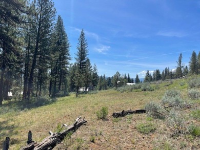 Gently sloping east facing lot with peeks of mountain and valley on Meadowcreek Golf Resort in Idaho - for sale on GolfHomes.com, golf home, golf lot
