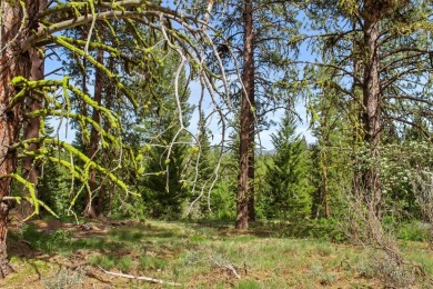 DISCOVER THE PERFECT SETTING for your dream home on this on Cascade Golf Course in Idaho - for sale on GolfHomes.com, golf home, golf lot