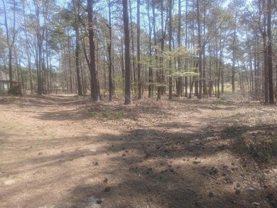 What's special Don't miss this incredible opportunity to build on Mount Vintage Plantation and Golf Club  in South Carolina - for sale on GolfHomes.com, golf home, golf lot