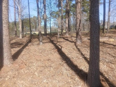 What's special Don't miss this incredible opportunity to build on Mount Vintage Plantation and Golf Club  in South Carolina - for sale on GolfHomes.com, golf home, golf lot