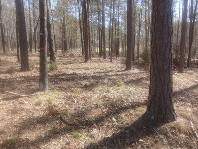 What's special Don't miss this incredible opportunity to build on Mount Vintage Plantation and Golf Club  in South Carolina - for sale on GolfHomes.com, golf home, golf lot