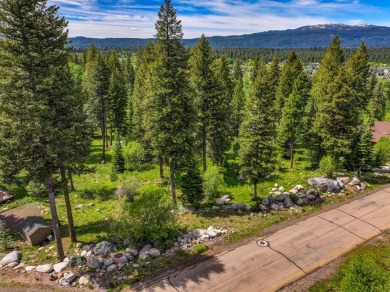 Towering Pines and lovely natural features highlight this choice on McCall Municipal Golf Course in Idaho - for sale on GolfHomes.com, golf home, golf lot