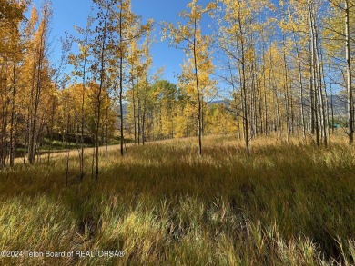 Very pretty, quiet treed lot in the Northern section of on Star Valley RV Golf Course in Wyoming - for sale on GolfHomes.com, golf home, golf lot