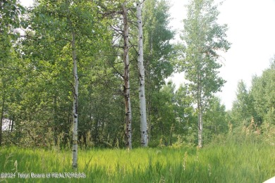 Very pretty, quiet treed lot in the Northern section of on Star Valley RV Golf Course in Wyoming - for sale on GolfHomes.com, golf home, golf lot