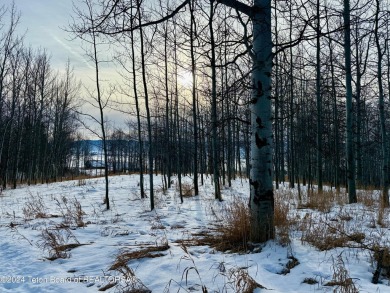 Very pretty, quiet treed lot in the Northern section of on Star Valley RV Golf Course in Wyoming - for sale on GolfHomes.com, golf home, golf lot