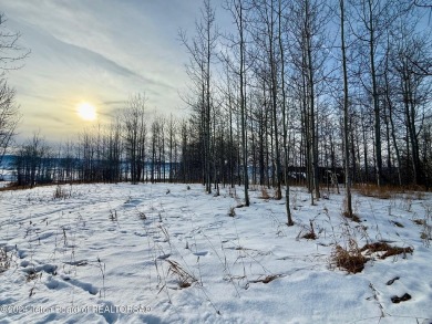 Very pretty, quiet treed lot in the Northern section of on Star Valley RV Golf Course in Wyoming - for sale on GolfHomes.com, golf home, golf lot