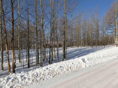 Very pretty, quiet treed lot in the Northern section of on Star Valley RV Golf Course in Wyoming - for sale on GolfHomes.com, golf home, golf lot