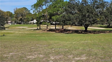 Want to watch the golfers play or enjoy the gorgeous Oak Trees? on Citrus Hills Golf Club in Florida - for sale on GolfHomes.com, golf home, golf lot