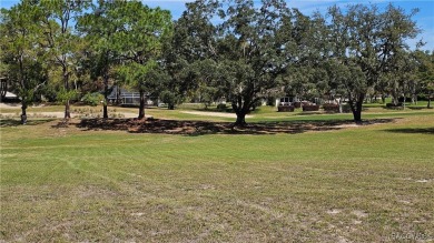 Want to watch the golfers play or enjoy the gorgeous Oak Trees? on Citrus Hills Golf Club in Florida - for sale on GolfHomes.com, golf home, golf lot