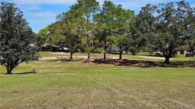 Want to watch the golfers play or enjoy the gorgeous Oak Trees? on Citrus Hills Golf Club in Florida - for sale on GolfHomes.com, golf home, golf lot