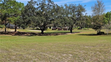Want to watch the golfers play or enjoy the gorgeous Oak Trees? on Citrus Hills Golf Club in Florida - for sale on GolfHomes.com, golf home, golf lot